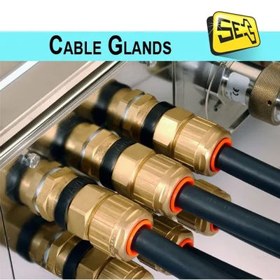 M14X1.5 (((4-8) ケーブル用のニッケル付銅腺接続器 IP68 防水ケーブル腺